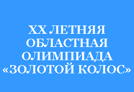 : XX     ѻ